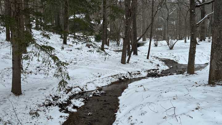 Will Asheville, Hendersonville see ice? Latest weather…