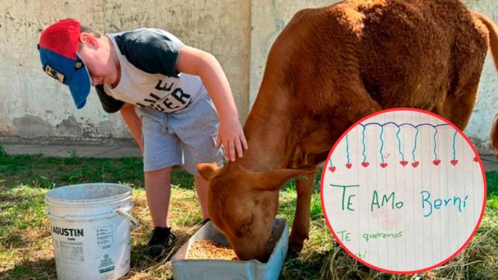Tras el golpe por el robo de “Berni”, una nueva ternera devolverá la ilusión a una escuela de Hernando