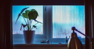 'Very simple' method to clear condensation from windows uses just 1 common item