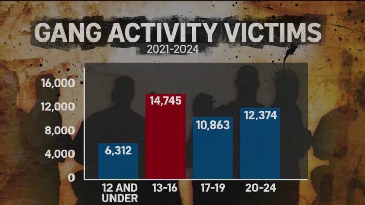 Young teens make up biggest group of gang activity