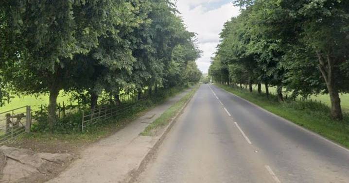 Pedestrian killed in crash and driver arrested