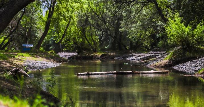 Un balneario renovado para disfrutar: Centenario inaugura su temporada de verano
