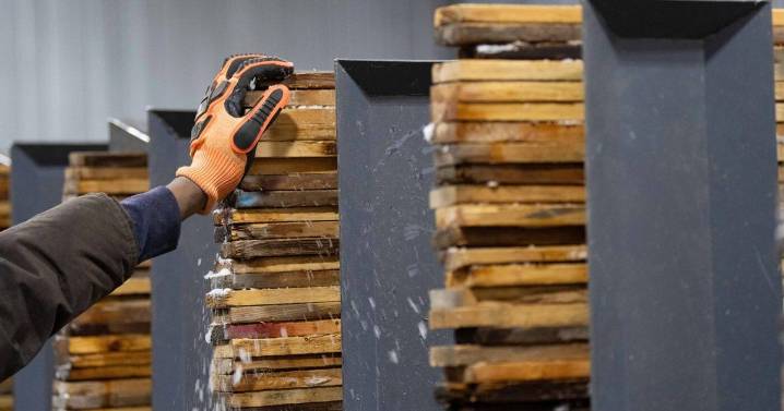 Canada added 54,000 jobs in November, unemployment rate drops to 6.5%: StatCan