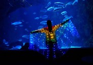 Vuelve el Pase Anual B! infantil gratuito del BIOPARC Acuario de Gijón