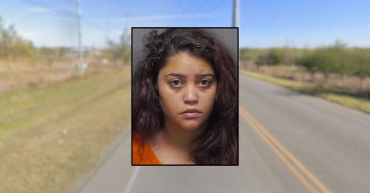 Drunk mom didn't put seat belts on 6 kids before driving Ford Explorer into a pole: Cops