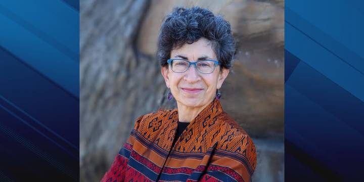 Iowa Senate Democratic Leader seeks reelection in District 45