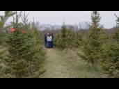 Some Missourians choosing real Christmas trees as artificial tree prices rise due to tariffs