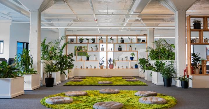 Murmurs: Sacred Mushroom’s Trip Proves Short