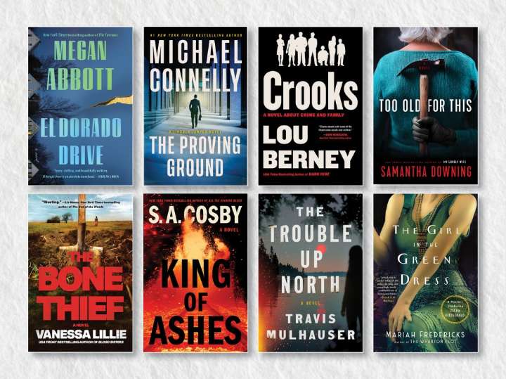 The best mystery novels of 2025