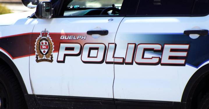 Guelph man tracked down after truck stolen from Puslinch