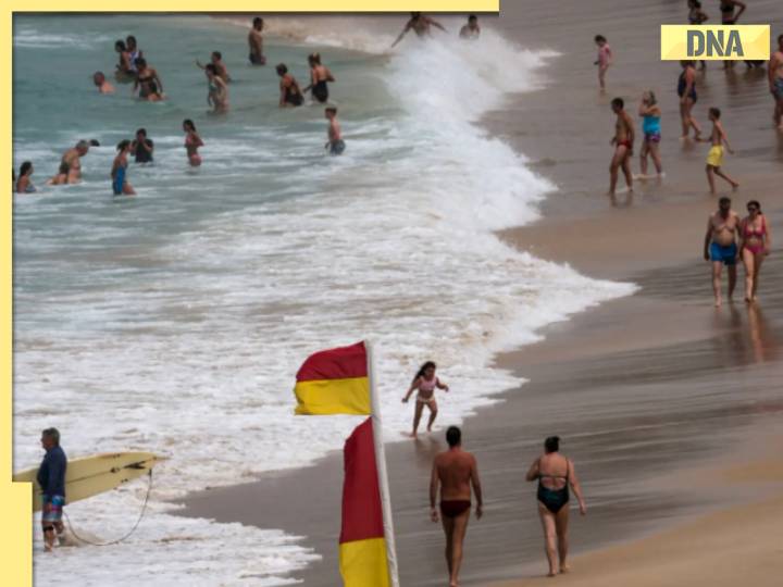 Australia mass shooting: Multiple shots fired in Sydney's Bondi beach, police is