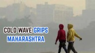 Cold Wave Grips Maharashtra: IMD Issues Alert For 13 Districts For December 12