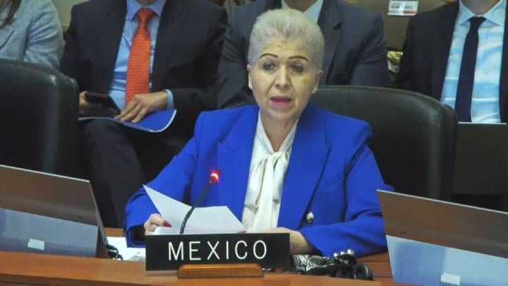 México defiende la Convención de Asilo Diplomático frente propuesta de reforma de Perú en la OEA