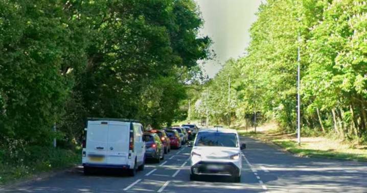 Trees on stretch of key Middlesbrough road to be chopped down after safety and damage complaints