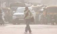 CAQM sets up expert panel to tackle vehicular pollution in Delhi