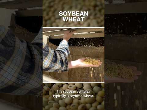 Food or fuel? Renewable energy is reframing agricultural markets.