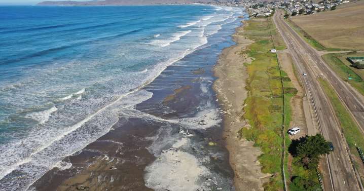Cal Poly and California State Parks invite community to ‘Tide and Seek’ during Dec. 4