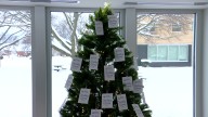Help families in need through the Holiday Giving Tree program at Milwaukee's Wellpoint Care Network