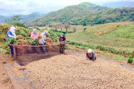 Tres experiencias exitosas que articulan agricultura familiar con mercados de alto valor