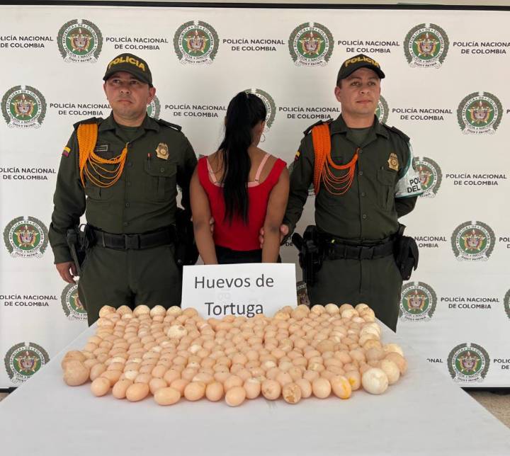 Por llevar 260 huevos de tortuga la Policía capturó a esta mujer de 20 años