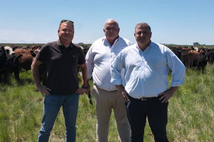 Desde Nueva Zelanda. Llegó al país hace 30 años y creó una solución para un problema que pocos miraban