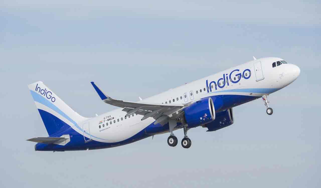 IndiGo operations continue to be impacted