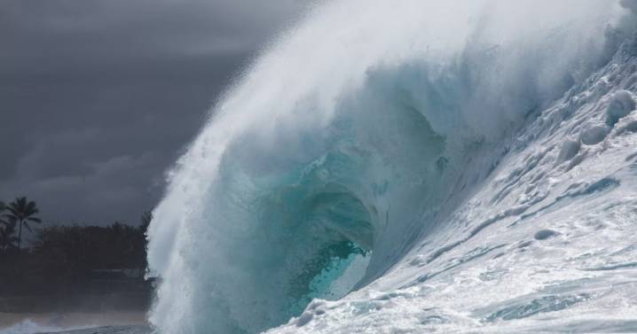 SHOA descarta tsunami en Chile tras sismo percibido frente a costa japonesa