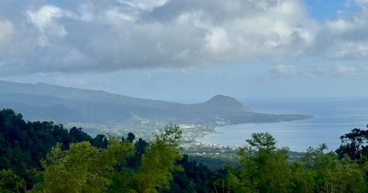 COP30 defrauda a los más vulnerables del Caribe por no reflejar su realidad