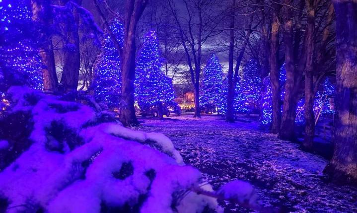 Deadline for Freeman’s Holiday Lights 2025 tour is Sunday