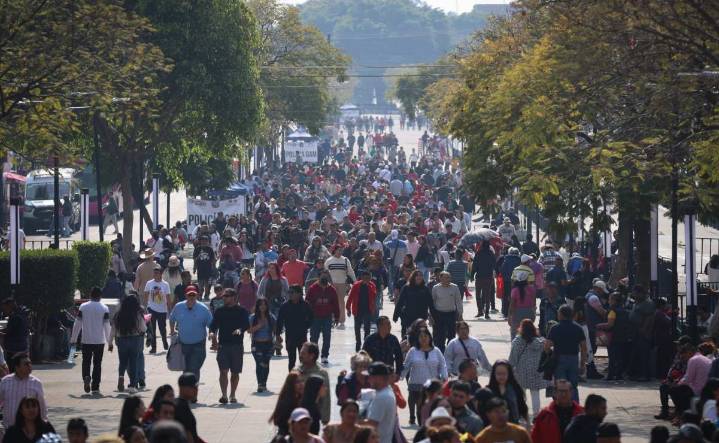 Profeco inicia Operativo Basílica 2025: vigilará comercios y atenderá a peregrinos del 10 al 14 de diciembre