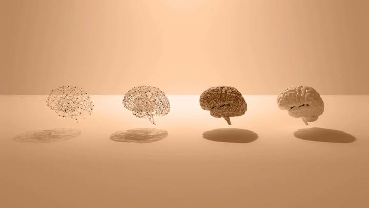 Our brains peak in our early 30s, research says