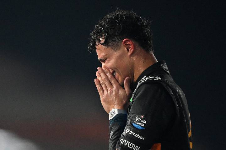 How son of British millionaire Lando Norris silenced naysayers to win maiden F1 title