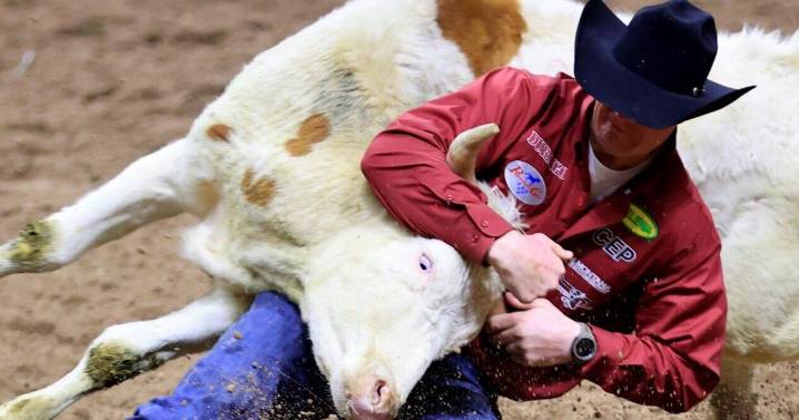 NFR: Helena's Ty Erickson places 2nd in 1st round of steer wrestling