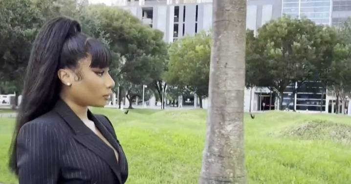Megan Thee Stallion wins civil defamation lawsuit against blogger