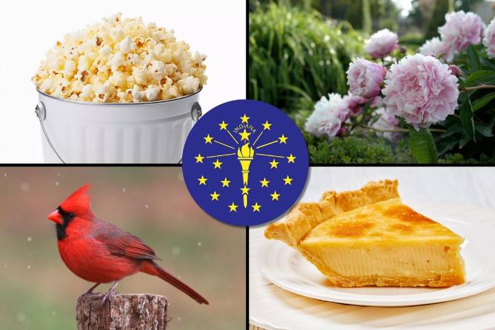 Can You Name These 18 Indiana State Symbols?