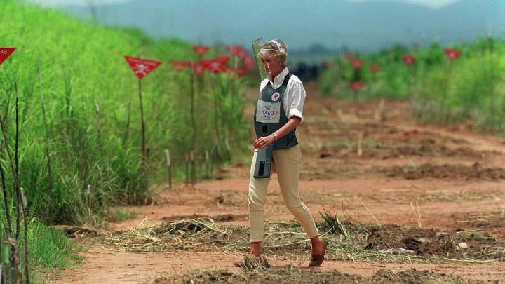 Landmine charity backed by Diana faces 'existential crisis' as UK funding uncertain