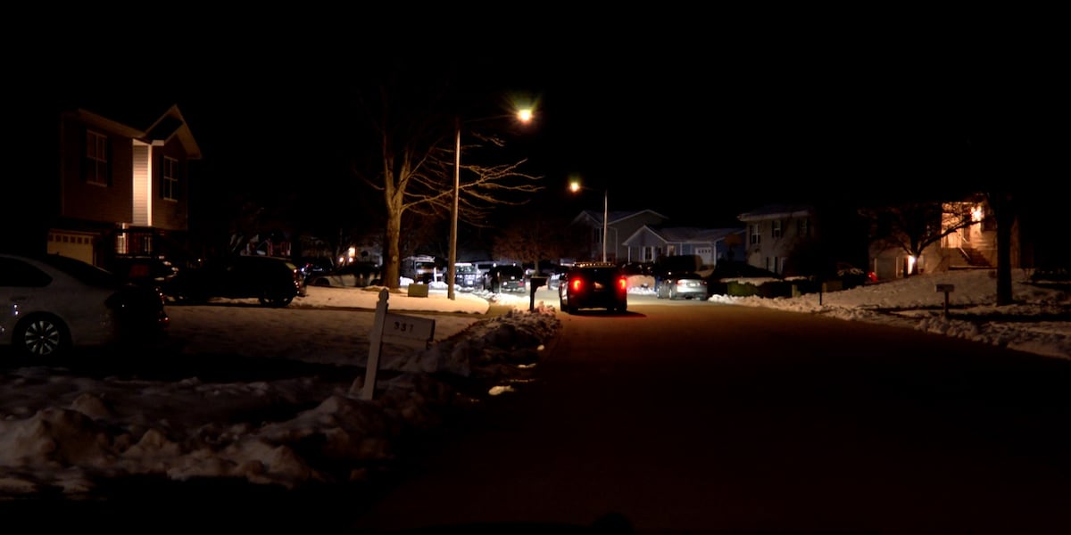 Suspect dead after shooting, armed robbery in Troy, Illinois