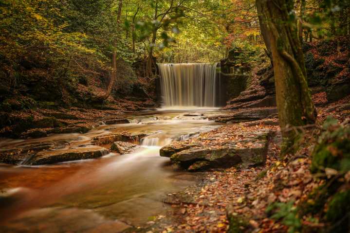 MLK Day And Juneteenth Dropped From Park Free Days