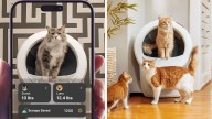 Litter-Robot holiday sale: $152 off self-cleaning litter boxes