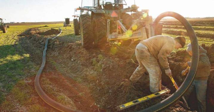Curious Iowa: What’s the purpose of field tiling?