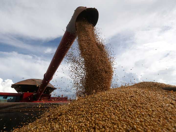 Baja de retenciones: cómo quedan los nuevos valores para la soja, el trigo, el maíz y el resto de los granos