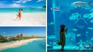 Atlantis luxury resort: Bahamas travel, Michelin