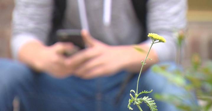 Trump administration calls out Colorado child welfare agencies for taking money from orphans and kids with disabilities