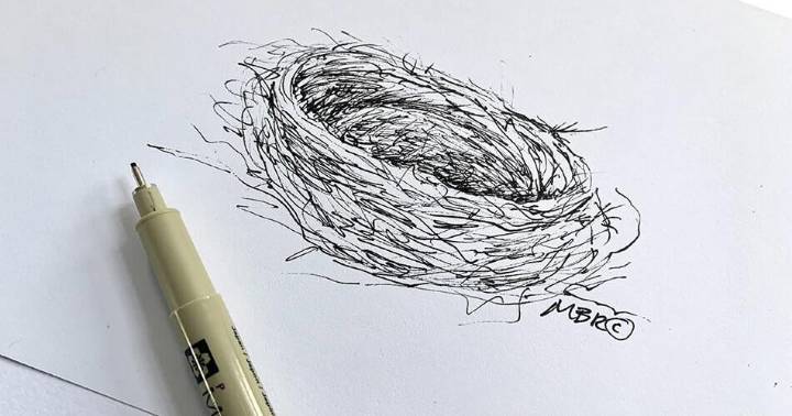 Nature Watch: Empty Nests