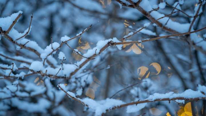 Winter storm warning in UP. See Doppler radar, advisory map
