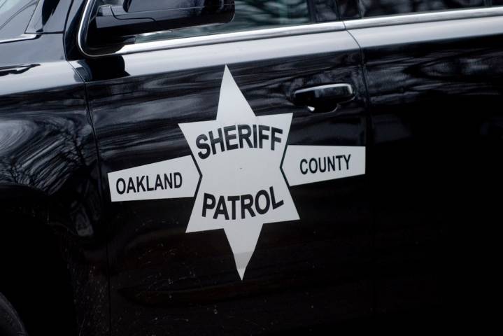 Alleged purse snatcher charged with 2 felonies in Oakland County