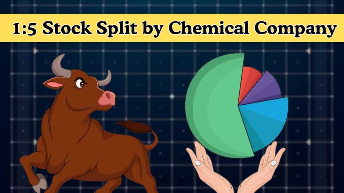 1:5 Stock Split: 100 shares will turn into 500