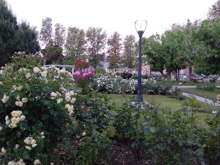 Inscripciones abiertas para las becas y casas de estudio para el año 2026