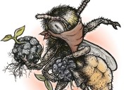 Turn that anger into action at this year’s Howard Zinn Book Fair