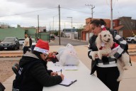 Perros y gatos encuentran familia en evento “Navidad de Pelos” del Gobierno Municipal